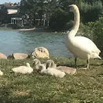 Giardino Sul Garda * סירמיונה